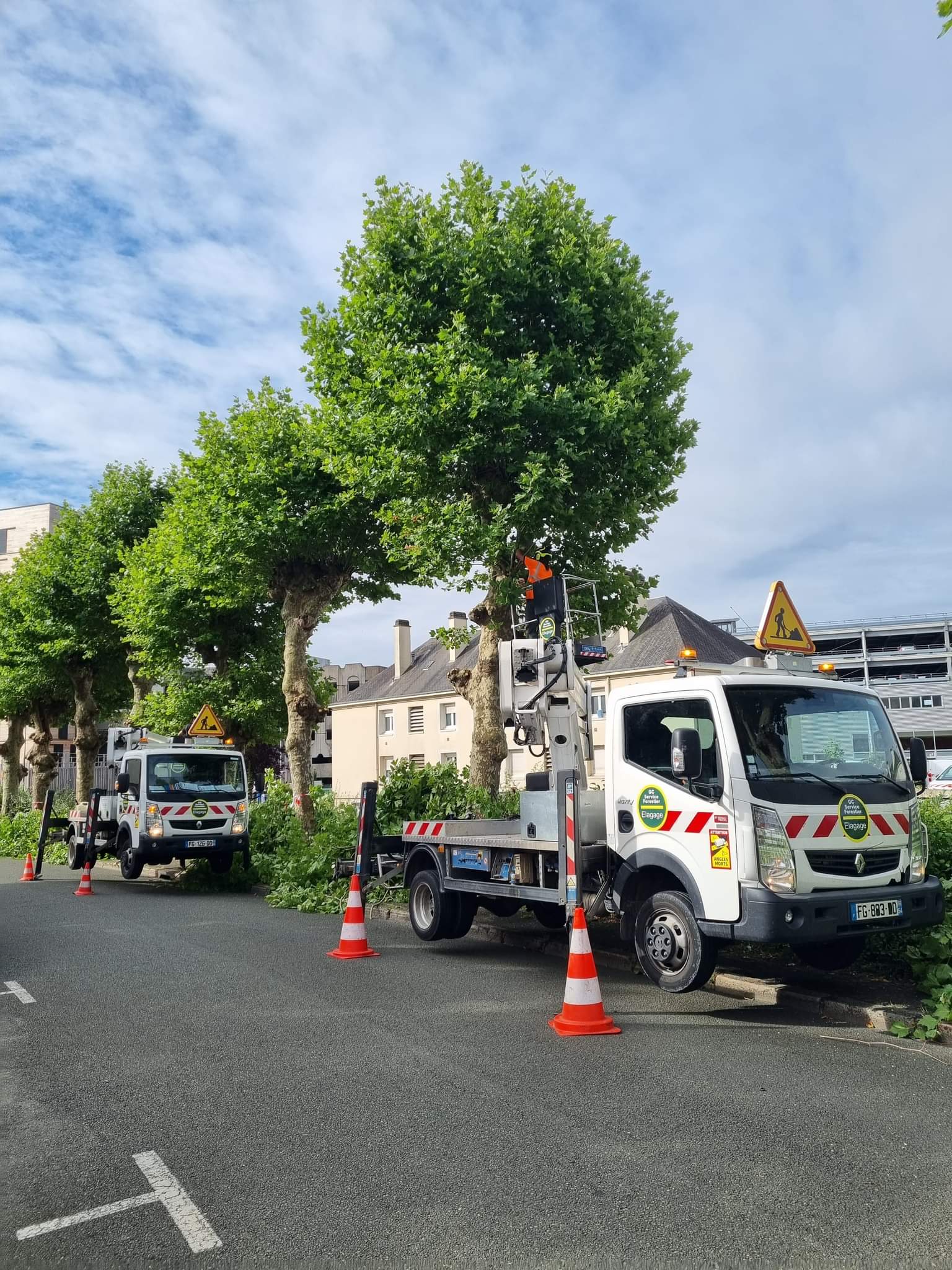 GC Service Forestier