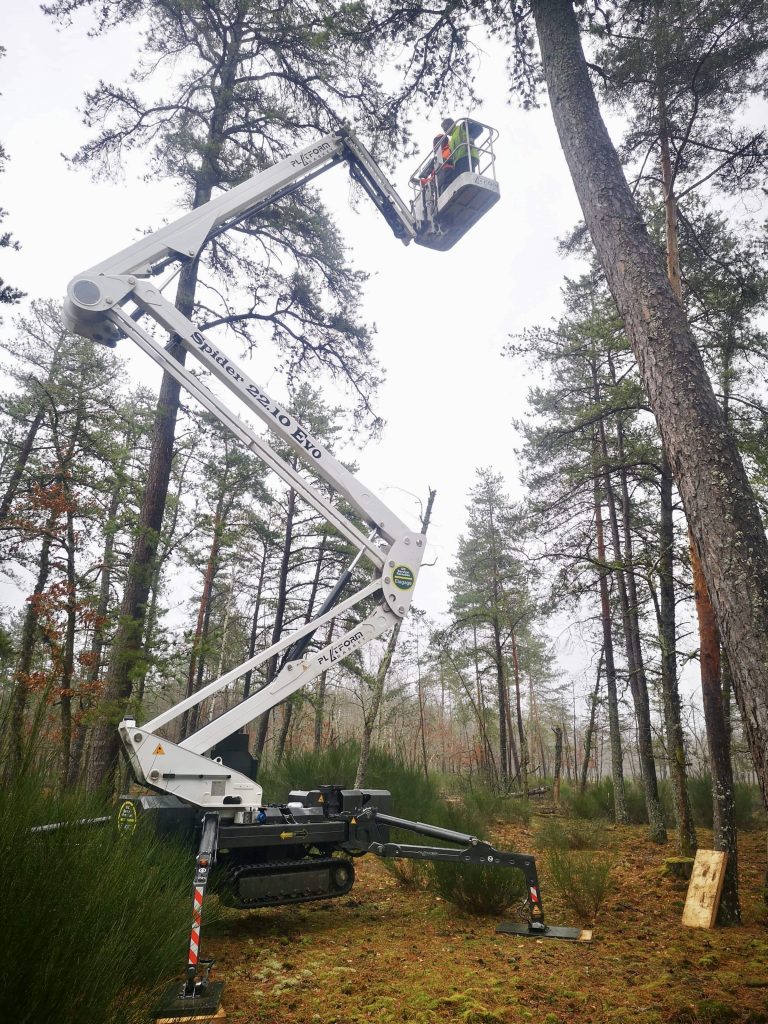 GC Service Forestier